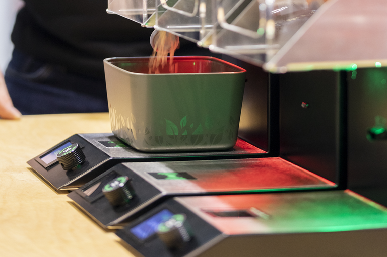 _MG_0353neu _MG_0353neu